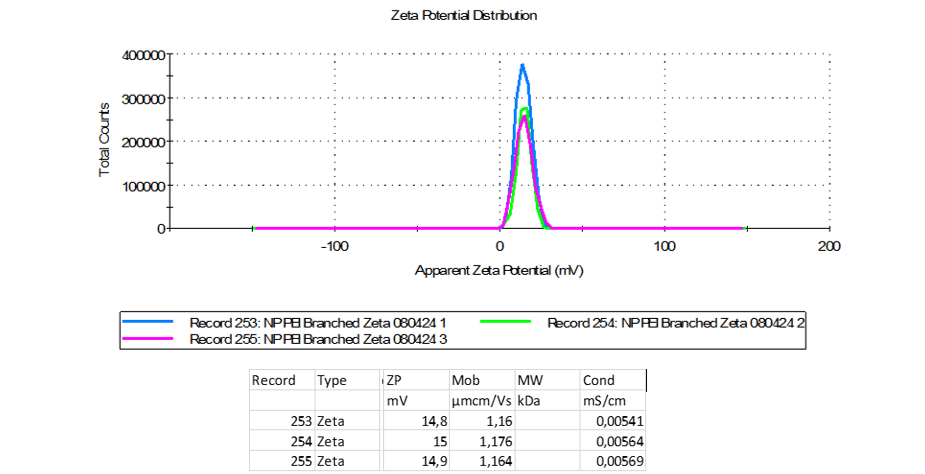 Figure 2: RAD51B protein localization